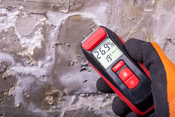 Best Crawl Space Mold Remediation in Nicholson, GA